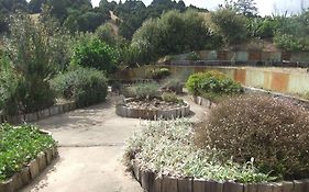 Tracy'S Boutique B&B Farmstay